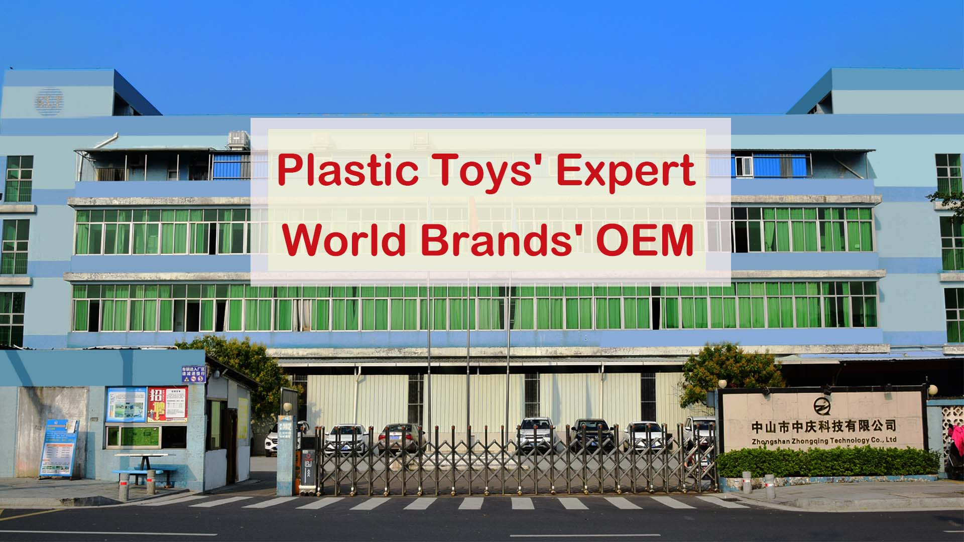 Plastic Toys' Expert